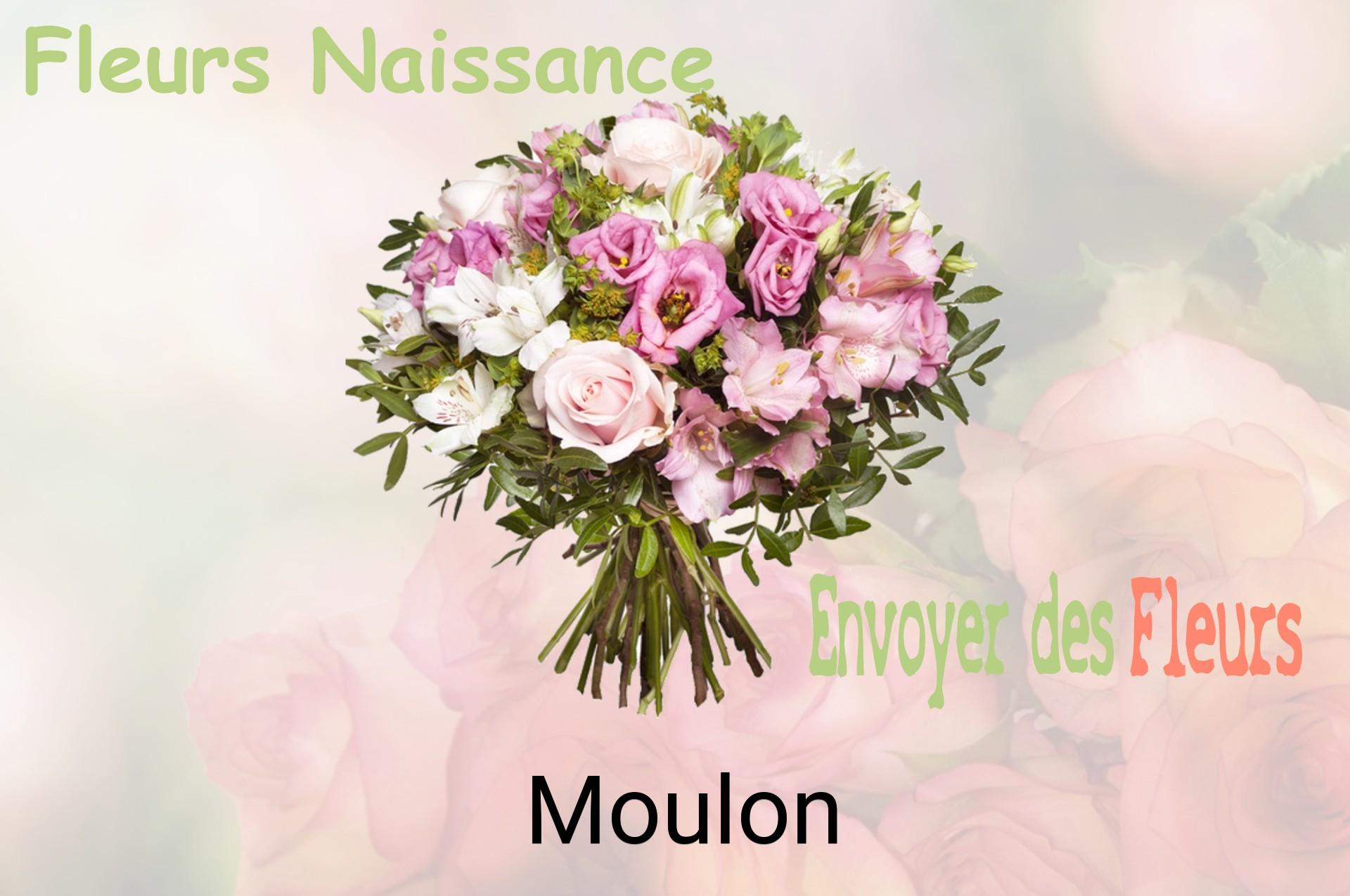 Bouquet de fleurs de naissance livré à Moulon