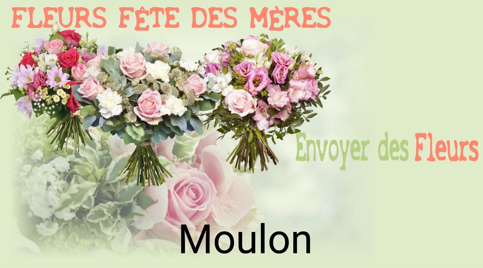 Bouquet de Fête des Mères livré à Moulon